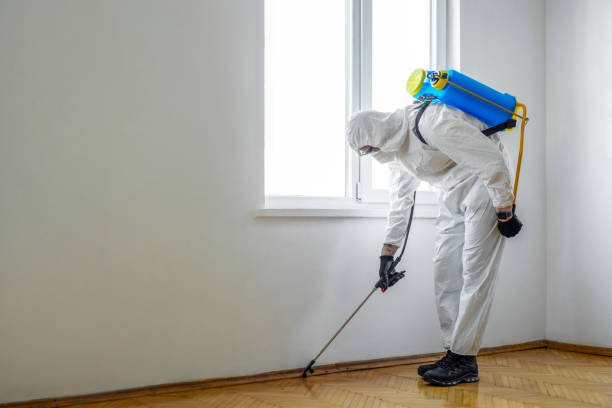 Best Indoor Pest Control  in North St Paul, MN